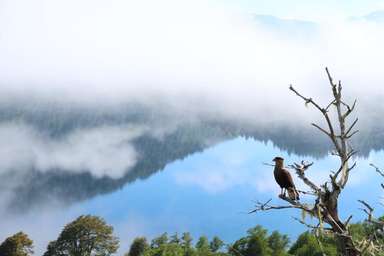 San Martín de los Andes Hermoso Eco Lodge מראה חיצוני תמונה