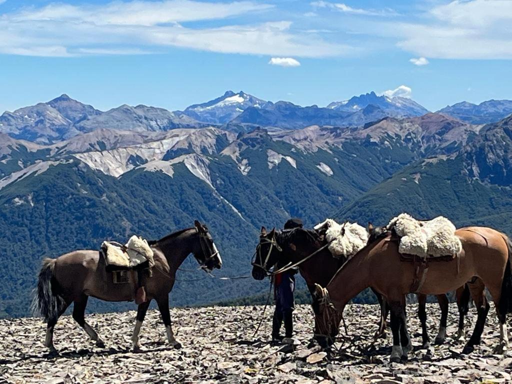 San Martín de los Andes Hermoso Eco Lodge מראה חיצוני תמונה